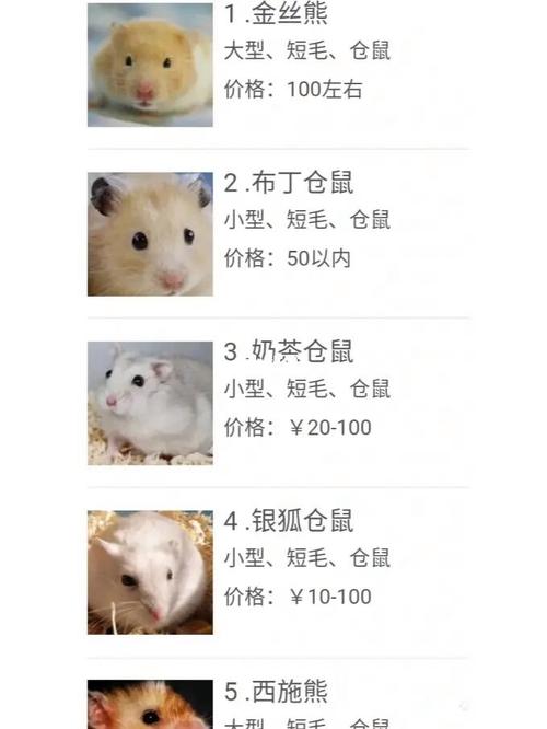 红颊竹鼠价格多少-第3张图片-宁夏农业信息网 红颊竹鼠价格多少-第3张图片-宁夏农业信息网