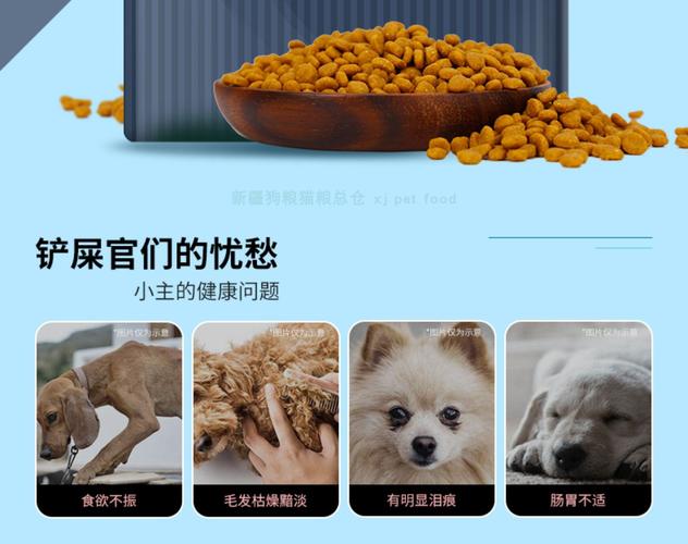 肉狗都喂什么饲料-第2张图片-宁夏农业信息网