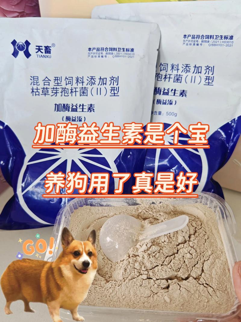 肉狗都喂什么饲料-第3张图片-宁夏农业信息网