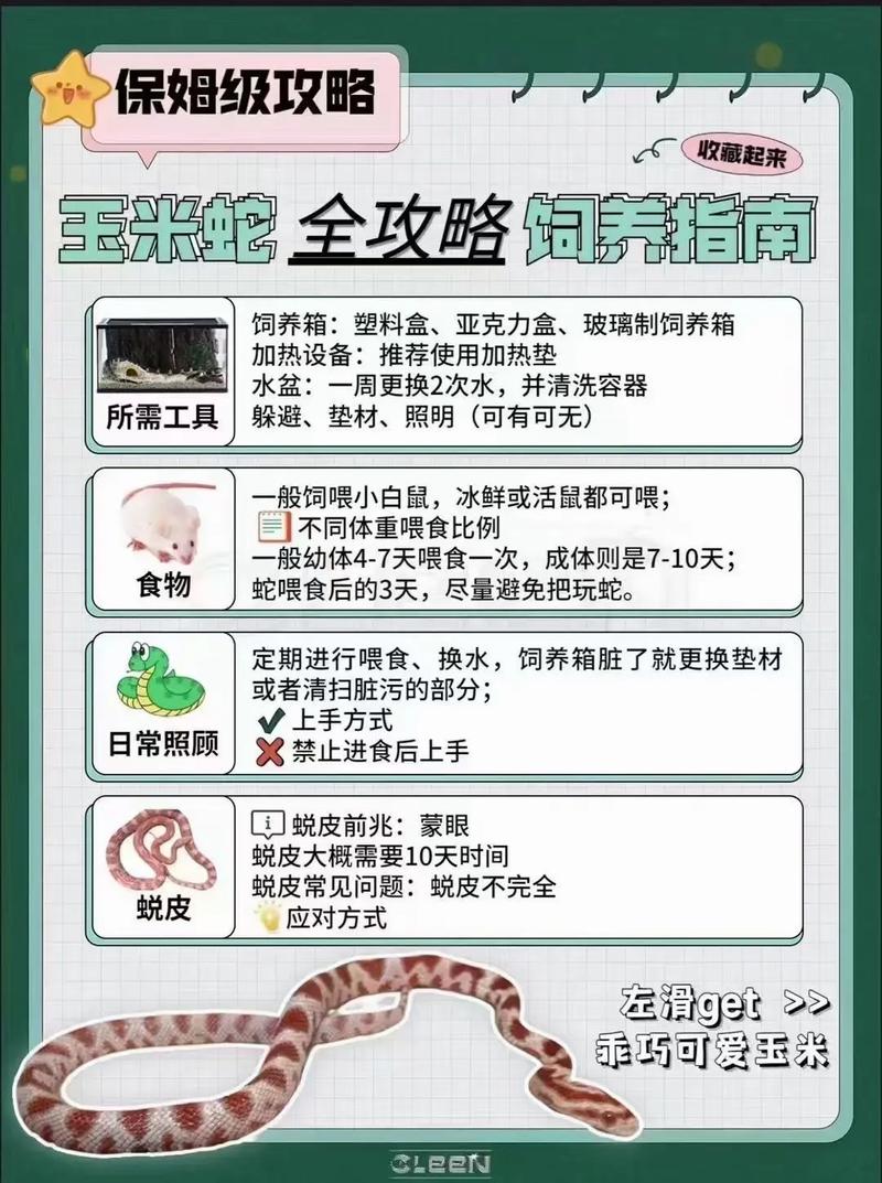 养蛇场需要什么饲料-第1张图片-宁夏农业信息网