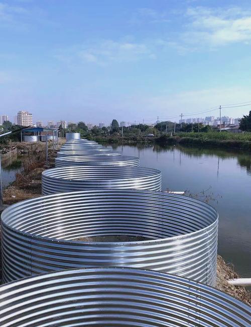 帆布池养殖什么-第1张图片-宁夏农业信息网