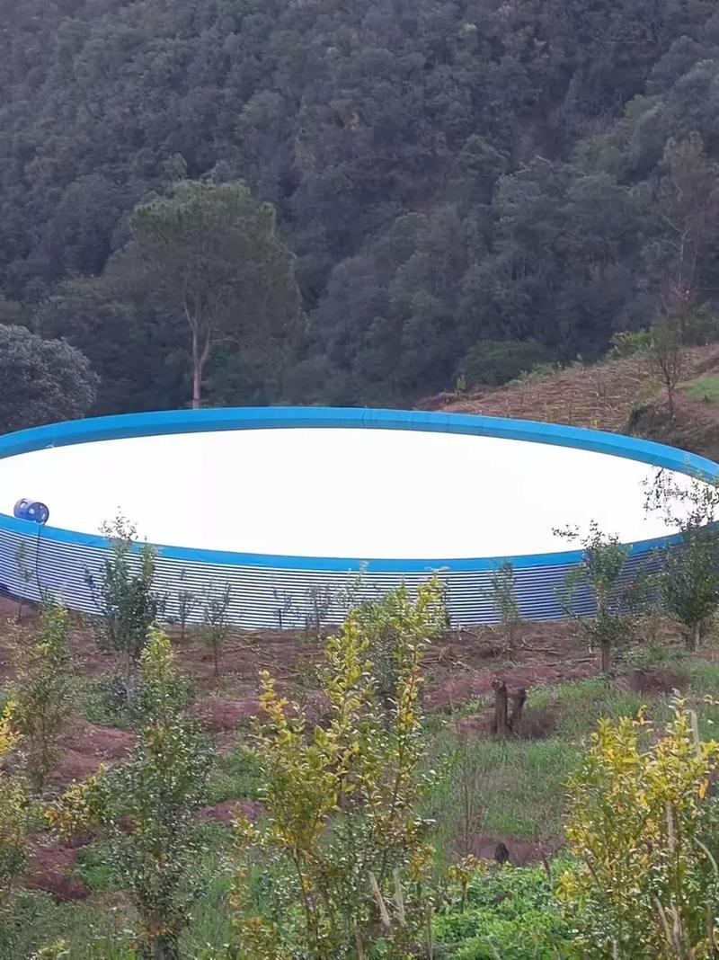 帆布池养殖什么-第3张图片-宁夏农业信息网