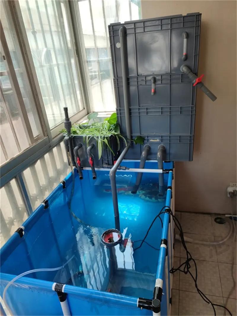 帆布池养殖什么-第2张图片-宁夏农业信息网