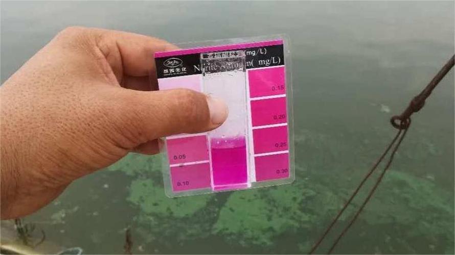 养殖场废水含盐量为什么高-第2张图片-宁夏农业信息网