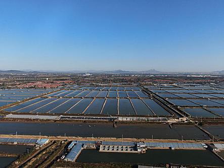 为什么工厂化养殖用海水-第3张图片-宁夏农业信息网 为什么工厂化养殖用海水-第3张图片-宁夏农业信息网