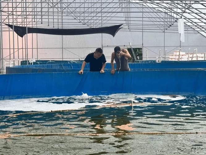 为什么工厂化养殖用海水-第2张图片-宁夏农业信息网