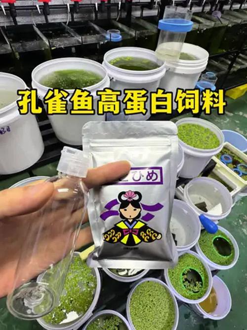 孔雀吃什么样的饲料-第2张图片-宁夏农业信息网