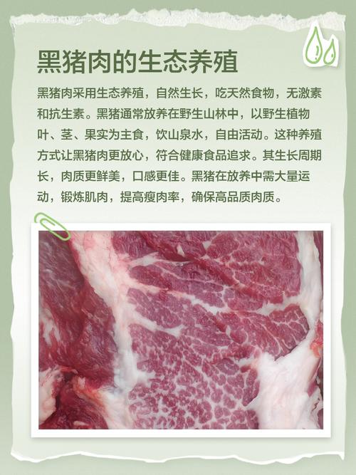 黑猪肉的价格是多少-第1张图片-宁夏农业信息网