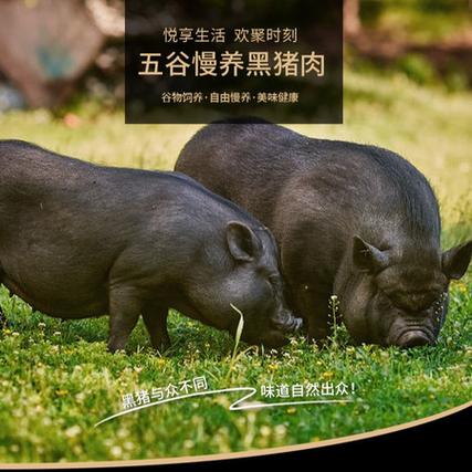 黑猪肉的价格是多少-第3张图片-宁夏农业信息网