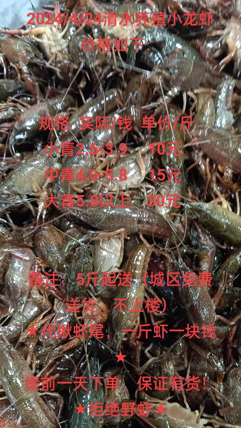 常州龙虾店价格是多少-第1张图片-宁夏农业信息网