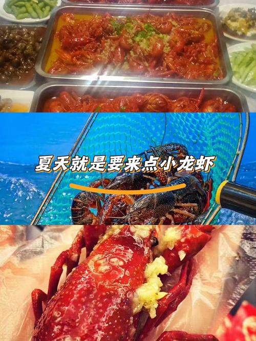 常州龙虾店价格是多少-第2张图片-宁夏农业信息网