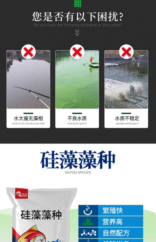 养殖用什么藻-第2张图片-宁夏农业信息网