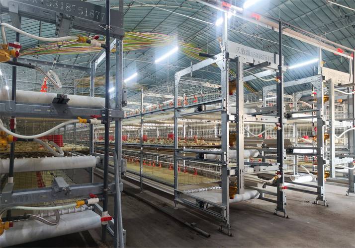 什么是工业化养殖技术-第1张图片-宁夏农业信息网