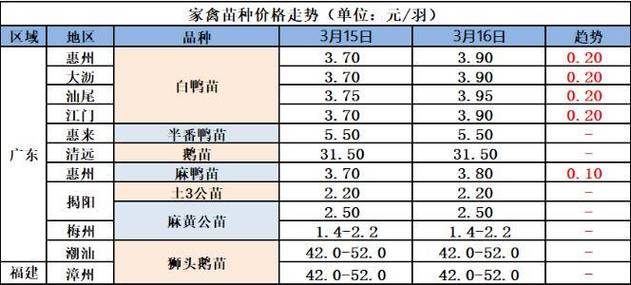 市场鹅的价格是多少-第2张图片-宁夏农业信息网