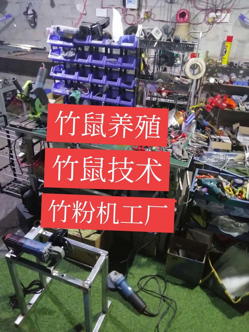 养殖竹鼠用什么饲料-第1张图片-宁夏农业信息网