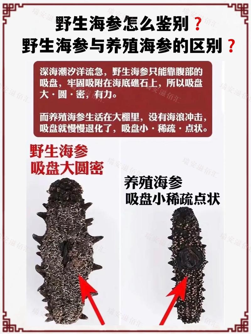 海参什么季节养殖-第2张图片-宁夏农业信息网