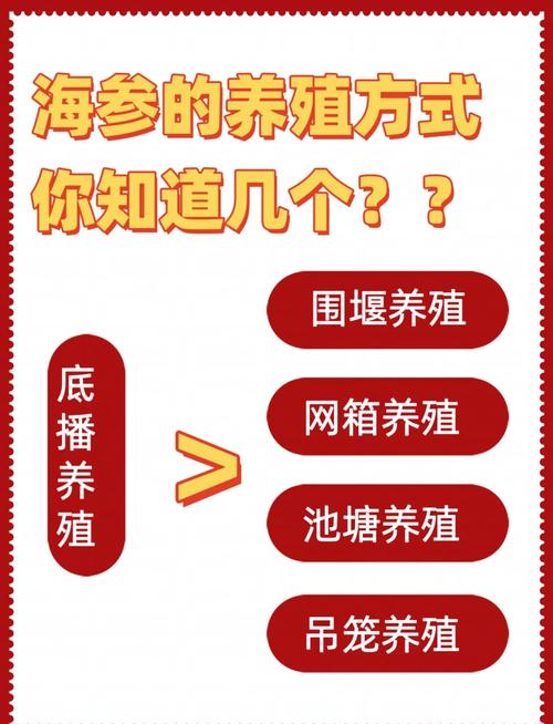 海参什么季节养殖-第3张图片-宁夏农业信息网