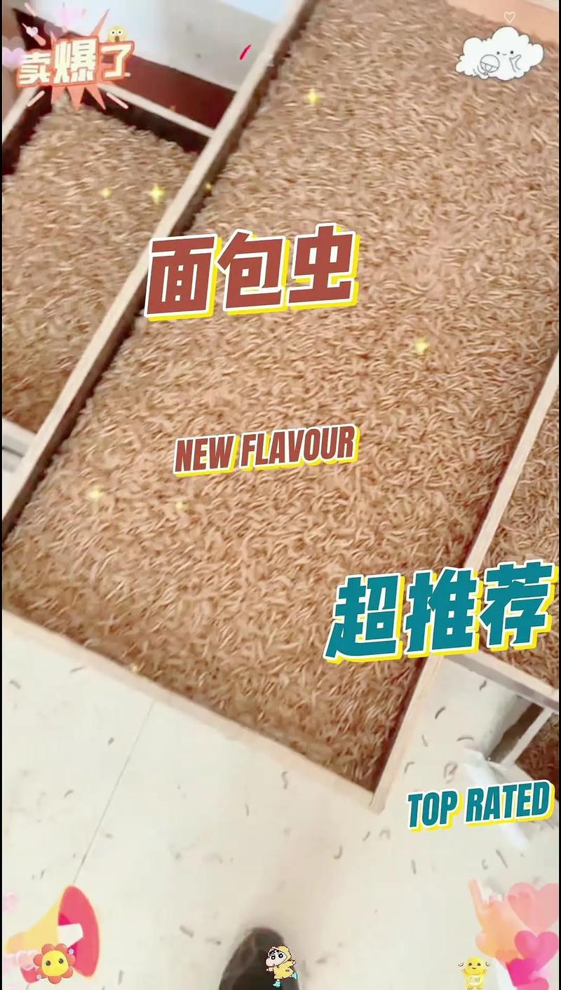 黄粉虫可做为什么饲料-第1张图片-宁夏农业信息网