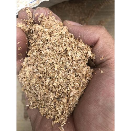 黄粉虫可做为什么饲料-第3张图片-宁夏农业信息网