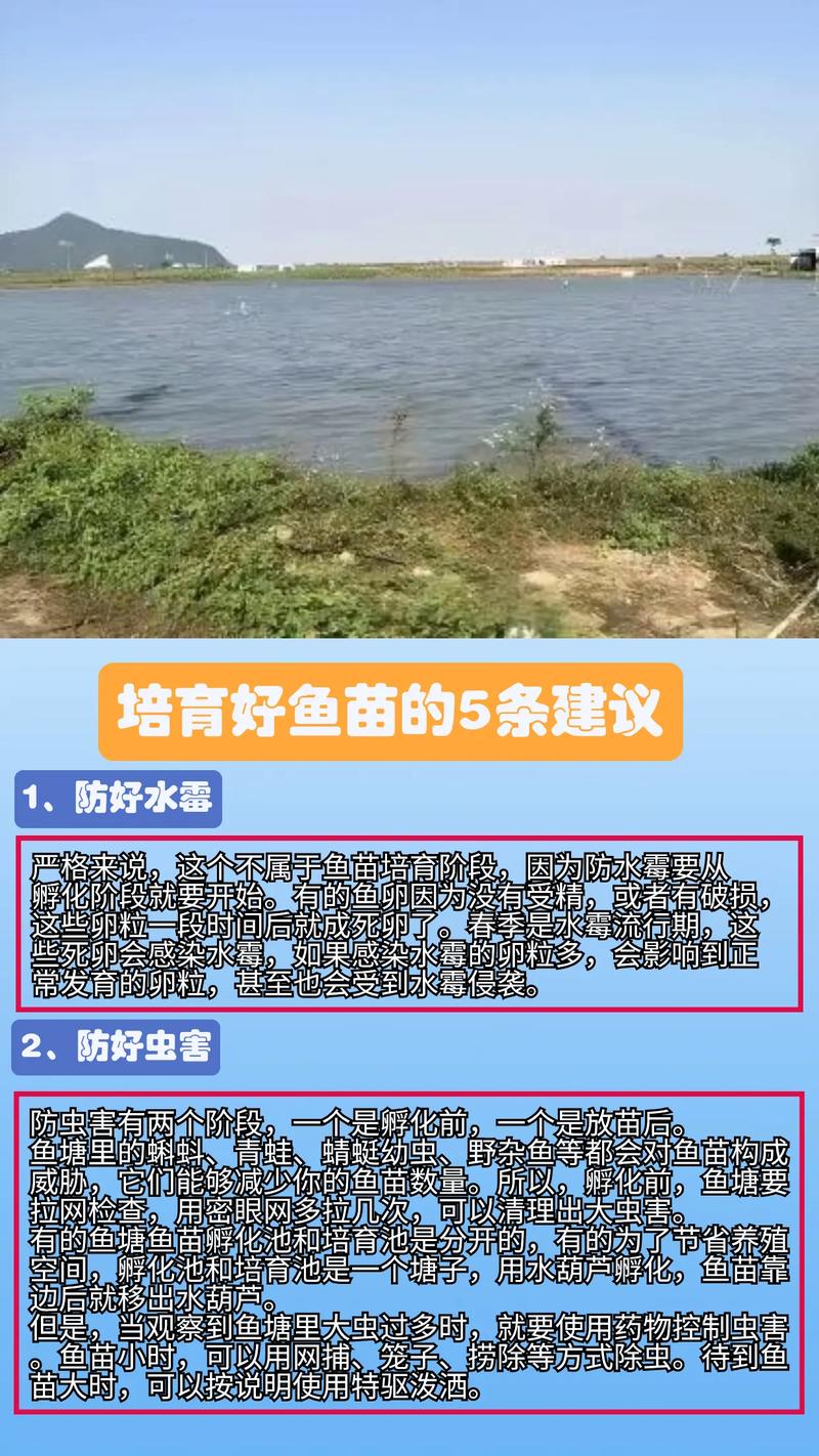 水产养殖促进生长的有什么-第2张图片-宁夏农业信息网 水产养殖促进生长的有什么-第2张图片-宁夏农业信息网
