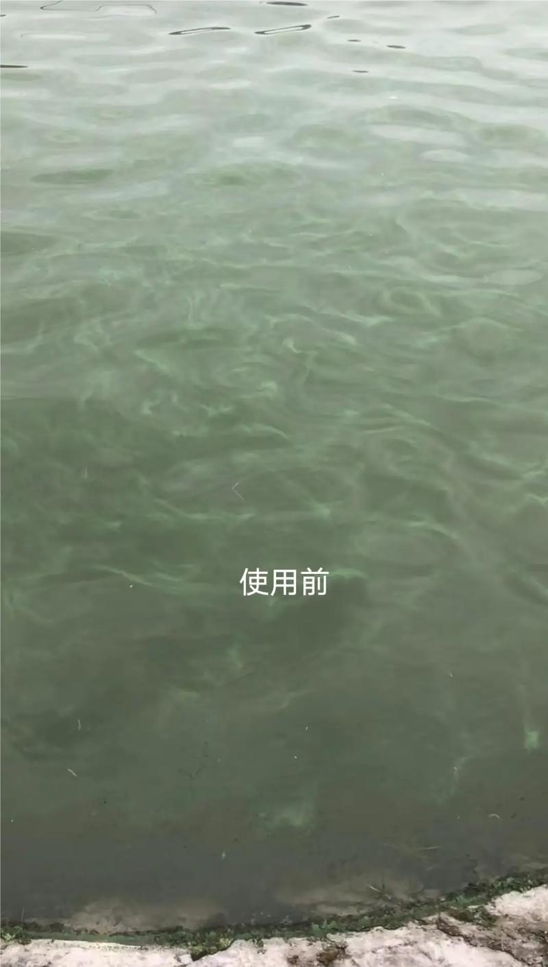 水产养殖什么是藻-第1张图片-宁夏农业信息网