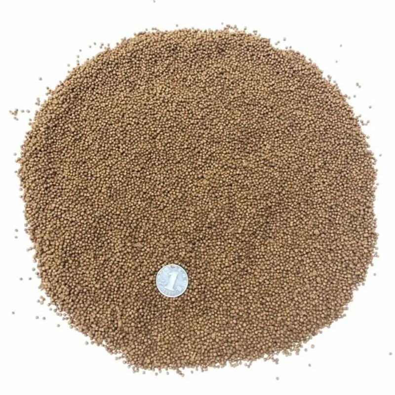 鱼塘喂什么饲料-第2张图片-宁夏农业信息网