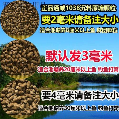 鱼塘喂什么饲料-第1张图片-宁夏农业信息网