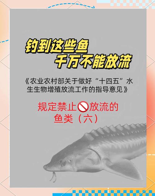 什么鱼养殖不放抗生素-第2张图片-宁夏农业信息网