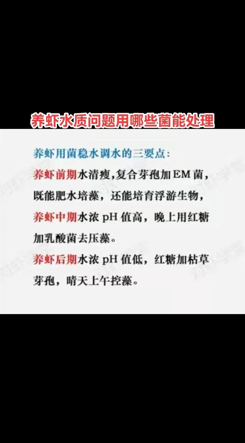 养殖南美白对虾为什么要用菌-第3张图片-宁夏农业信息网 养殖南美白对虾为什么要用菌-第3张图片-宁夏农业信息网