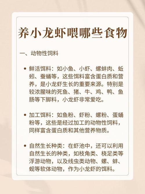 养小龙虾投喂什么饲料-第1张图片-宁夏农业信息网