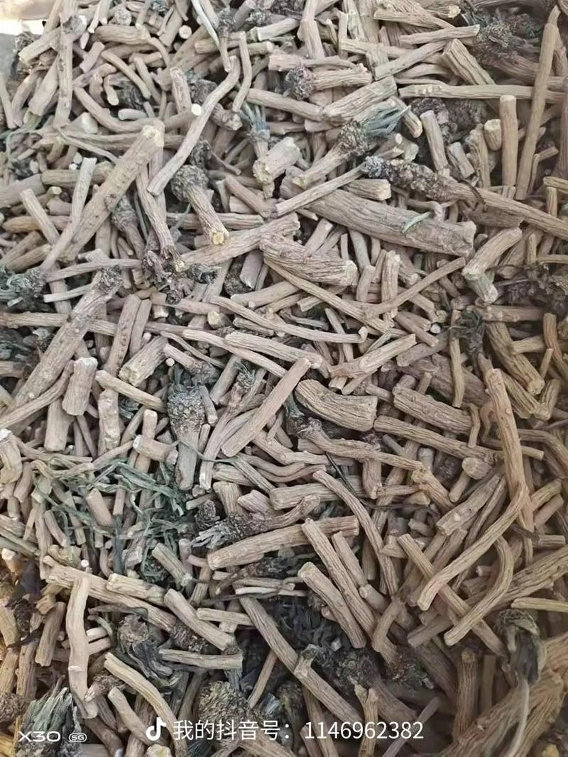 现在地龙价格是多少-第2张图片-宁夏农业信息网