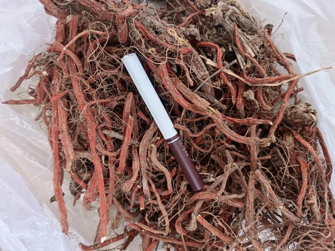 现在地龙价格是多少-第3张图片-宁夏农业信息网