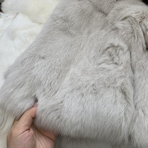 皮毛兔价格是多少-第1张图片-宁夏农业信息网