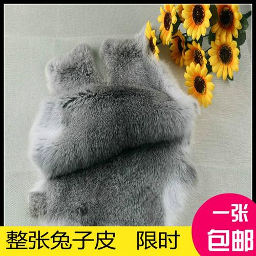 皮毛兔价格是多少-第2张图片-宁夏农业信息网