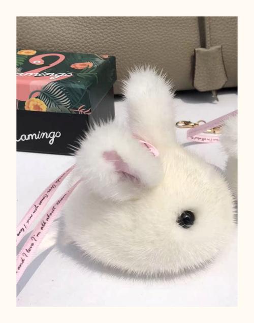 皮毛兔价格是多少-第3张图片-宁夏农业信息网