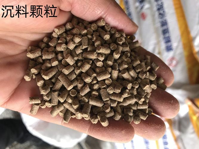 养鲫鱼用什么饲料-第2张图片-宁夏农业信息网