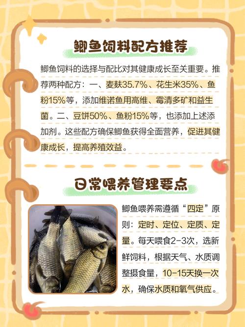 盐城鲫鱼喂养什么饲料-第2张图片-宁夏农业信息网