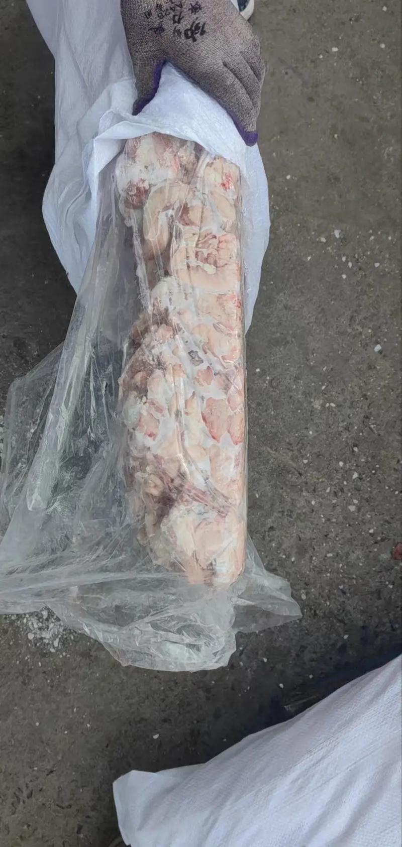 羊子宫的价格多少-第1张图片-宁夏农业信息网