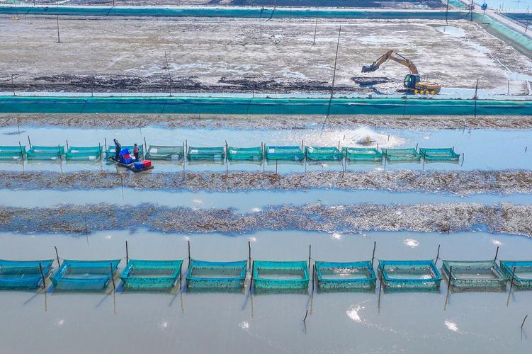 常州河蟹养殖基地在什么地方-第3张图片-宁夏农业信息网