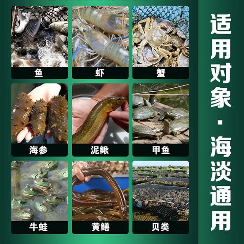 水产养殖氨氮是什么-第2张图片-宁夏农业信息网