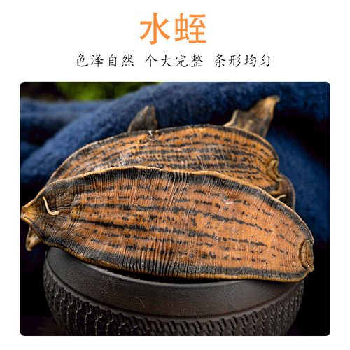 水蛭吃什么 水蛭饲料-第3张图片-宁夏农业信息网