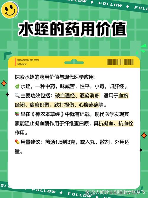 水蛭吃什么 水蛭饲料-第1张图片-宁夏农业信息网