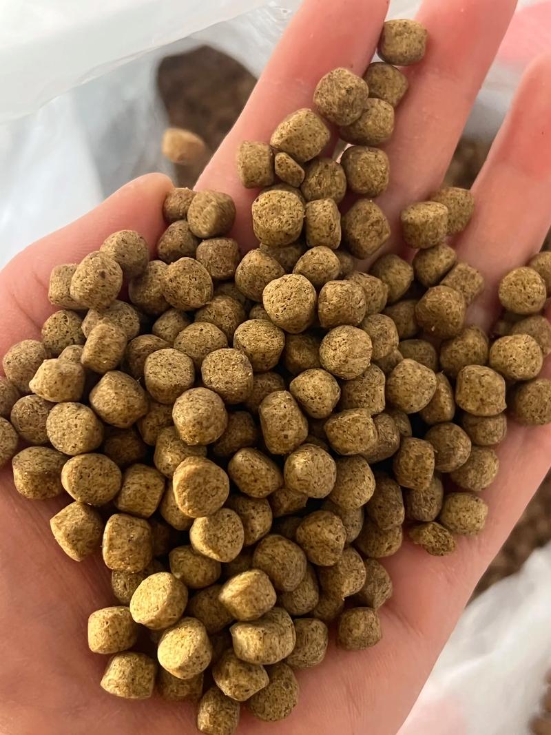 江苏养鱼用什么饲料-第2张图片-宁夏农业信息网