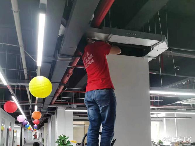 中华蜜蜂蜂王价格多少-第2张图片-宁夏农业信息网 中华蜜蜂蜂王价格多少-第2张图片-宁夏农业信息网