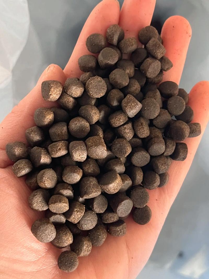 草鱼喂什么饲料最好-第1张图片-宁夏农业信息网