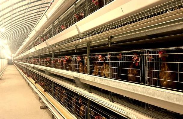 河北涉县适合什么养殖-第2张图片-宁夏农业信息网