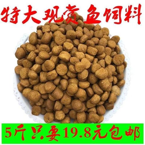 草鱼吃什么饲料长的快-第1张图片-宁夏农业信息网