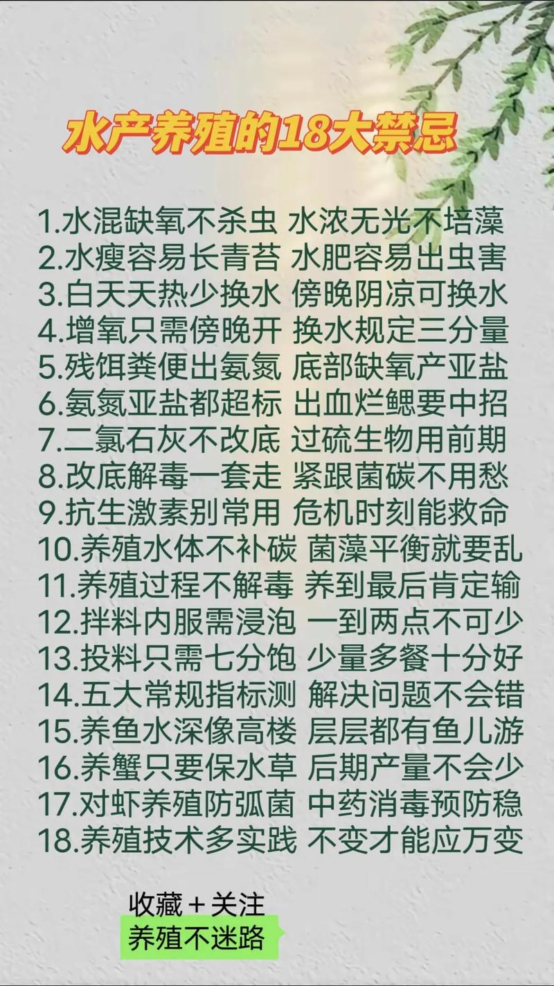 水产养殖有什么问题-第1张图片-宁夏农业信息网