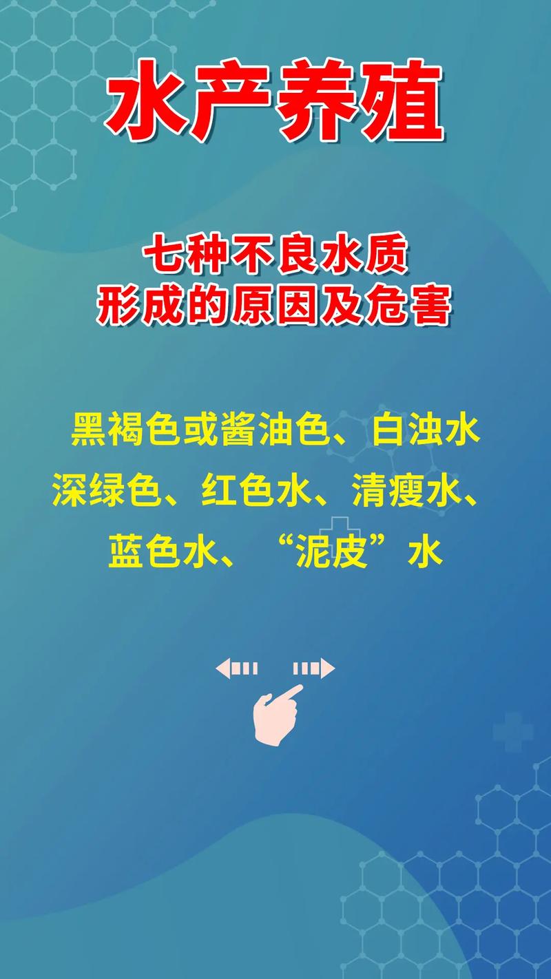 水产养殖有什么问题-第3张图片-宁夏农业信息网