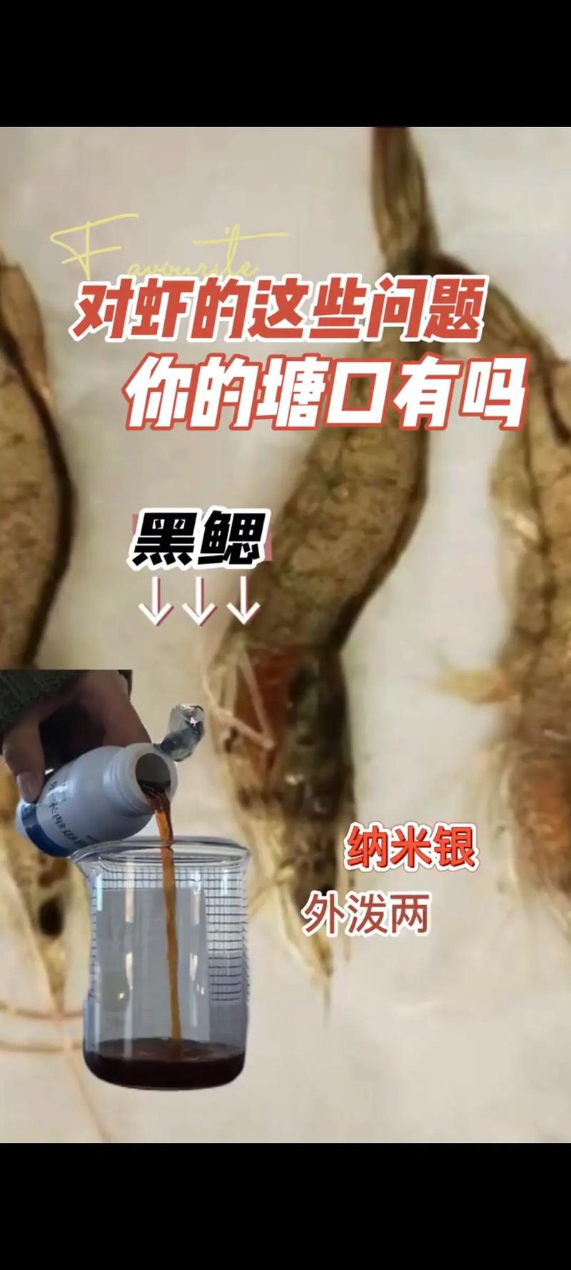 水产养殖有什么问题-第2张图片-宁夏农业信息网